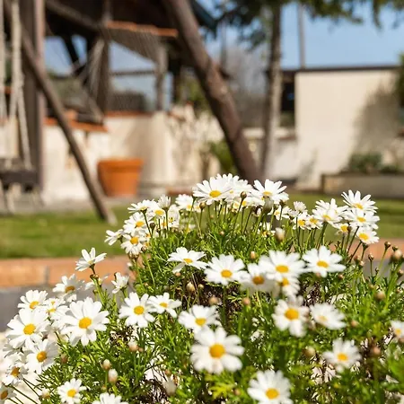 Immersa Nel Dell Etna